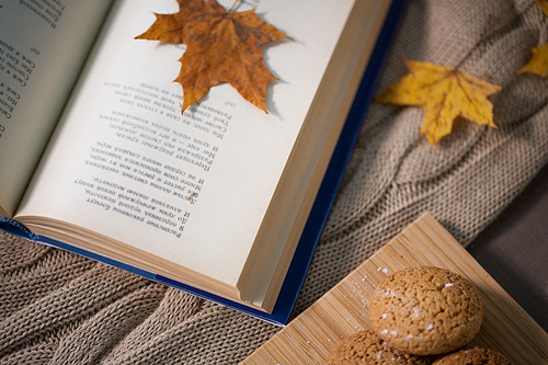 hygge, literature, reading and poetry concept - book with autumn leaf, lemons and oatmeal cookies on sofa