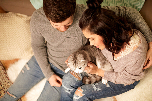 pets, hygge and people concept - happy couple with cat at home