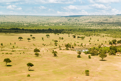 nature, landscape and wildlife concept - view to maasai mara national reserve savanna at africa