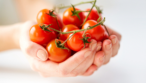 healthy eating, vegetarian food and people concept - close up of female hands holding cherry tomatoes