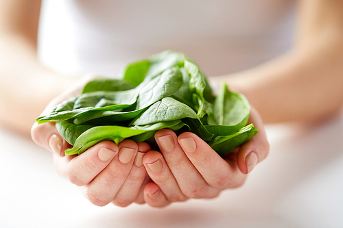 healthy eating, vegetarian food and people concept - close up of young woman holding spinach leaves
