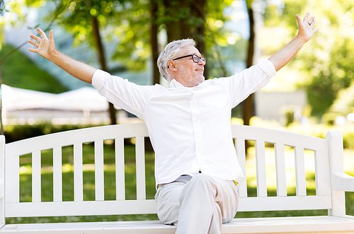 old age, retirement and people concept - happy senior man sitting on bench at summer park