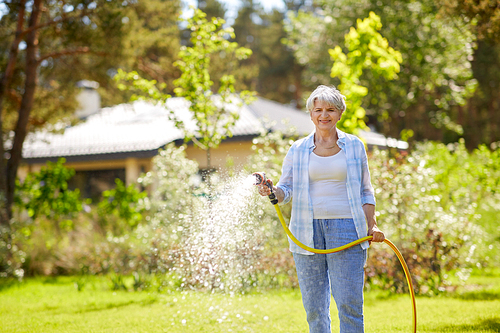 gardening and people concept - happy senior woman watering lawn by garden hose at summer