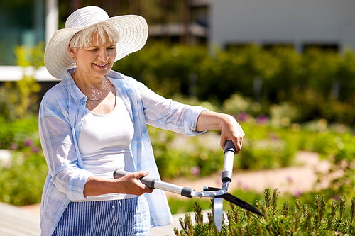 gardening, trimming and people concept - happy senior woman or gardener with hedge trimmer at summer garden