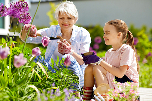 gardening, family and people concept - happy grandmother and granddaughter planting flowers at summer garden