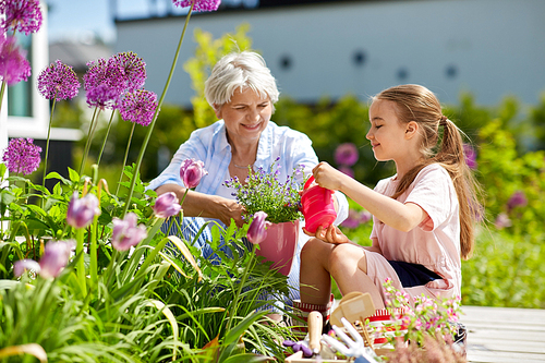 gardening, family and people concept - happy grandmother and granddaughter planting flowers at summer garden