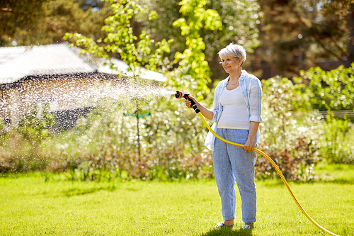 gardening and people concept - happy senior woman watering lawn by garden hose at summer