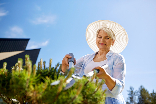 gardening, trimming and people concept - happy senior woman or gardener with hedge trimmer at summer garden