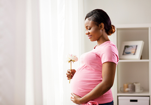 pregnancy, holidays and people concept - happy pregnant african american woman with flower looking through window at home