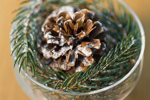 christmas concept - close up of decoration of fir twig with pinecone in dessert bowl