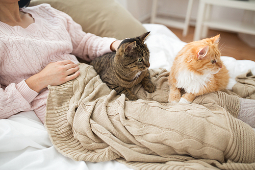 pets, hygge and people concept - close up of female owner with red and tabby cat in bed