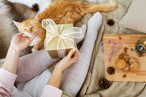 holidays, presents and people concept - close up of woman with christmas gift and cat