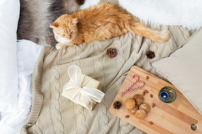 pets, hygge and christmas concept - red tabby cat lying on blanket with gift, oatmeal cookies and candle at home