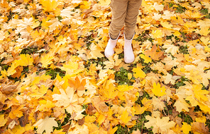 childhood, season and people concept - close up of kid legs in rubber boots on maple leaves at autumn park