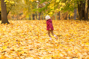 childhood, season and people concept - happy little girl running on fallen maple leaves at autumn park