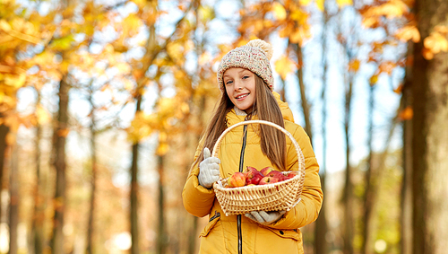 childhood, season and people concept - happy girl with apples in wicker basket at autumn park
