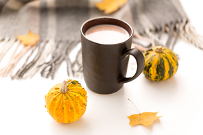 drinks and season concept - cup of hot chocolate, autumn leaves, pumpkins and warm blanket on white background