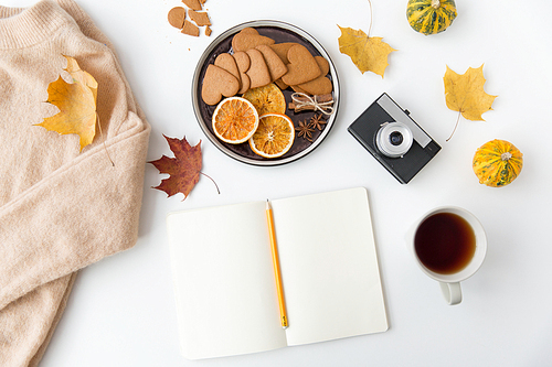 technology and season concept - notebook with pencil, autumn leaves, cup of tea, gingerbread cookies with dried orange slices and film camera on white background
