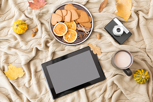 technology and season concept - tablet computer, autumn leaves, cup of hot chocolate, gingerbread cookies and dried oranges with cinnamon on warm knitted blanket