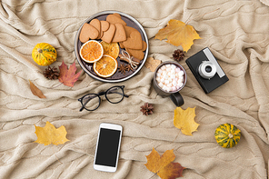 technology and season concept - smartphone, autumn leaves, cup of hot chocolate drink with marshmallows, film camera and gingerbread cookies on warm knitted blanket