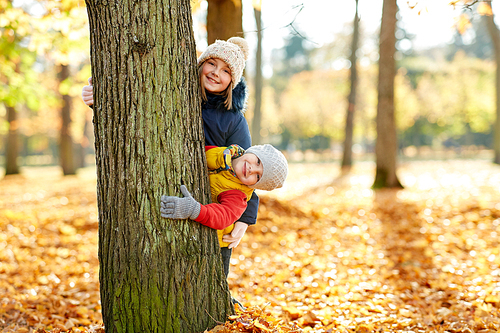 childhood, season and family concept - happy children peeking out tree trunk at autumn park