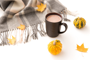 drinks and season concept - cup of hot chocolate, autumn leaves, pumpkins and warm blanket on white background