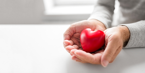 love, health, cardiology and charity concept - cupped senior man hands with red heart shape
