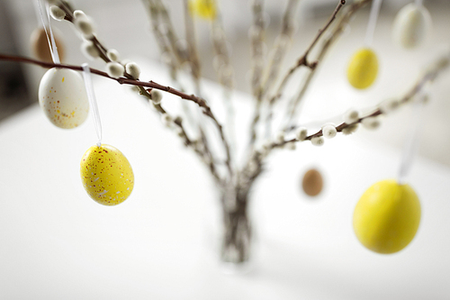 holidays and object concept - close up of pussy willow branches decorated by easter eggs