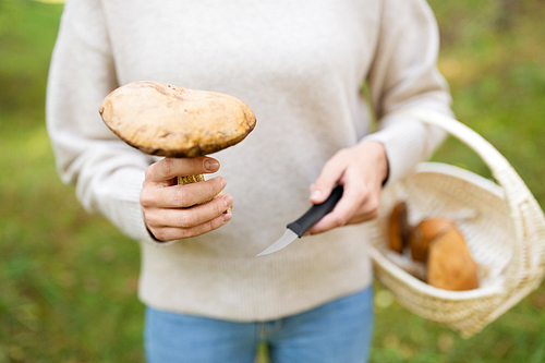 season, nature and leisure concept - young woman with wicker basket and knife picking mushrooms in forest