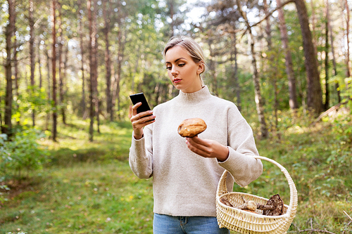 technology, people and leisure people concept - young woman with smartphone using app to identify mushroom in forest