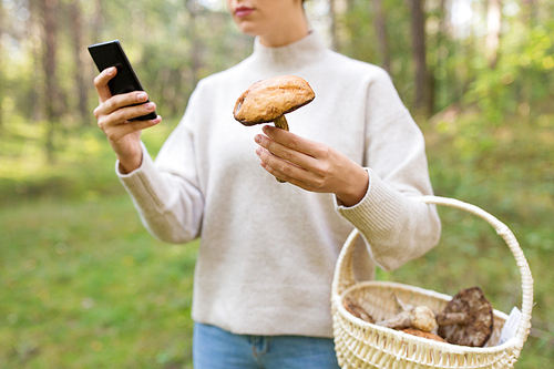 technology, nature and leisure concept - young woman with smartphone using app to identify mushroom in forest