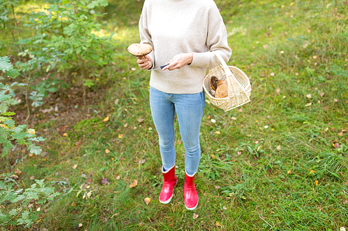 season, nature and leisure concept - young woman with wicker basket and knife picking mushrooms in forest