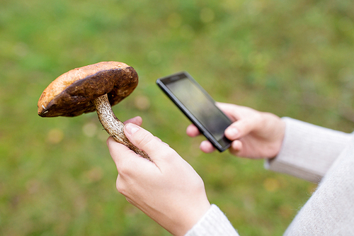 technology, nature and leisure concept - young woman with smartphone using app to identify mushroom in forest