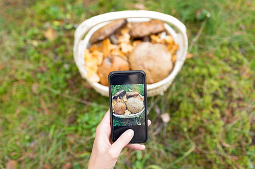 technology, nature and leisure concept - close up of woman photographing mushrooms in basket by smartphone in autumn forest