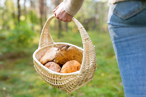 season, nature and leisure concept - close up of young woman with basket of mushrooms in autumn forest