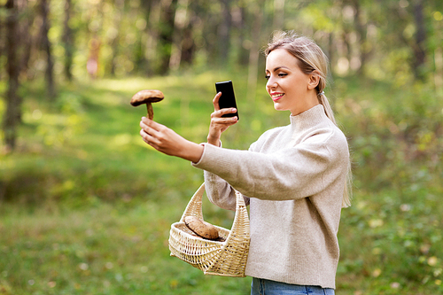 technology, people and leisure concept - young woman with smartphone using app to identify mushroom in forest