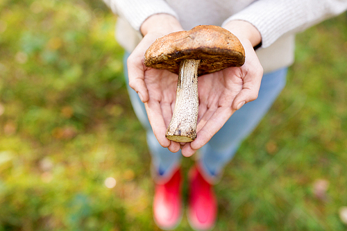 season, nature and leisure concept - close up of woman hands holding mushroom in forest