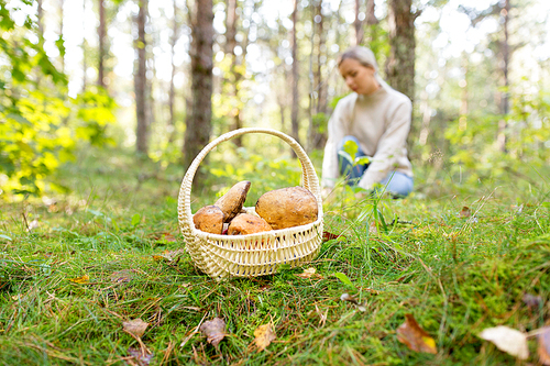 season, nature and leisure concept - wicker basket with brown cap boletus and young woman picking mushrooms in autumn forest