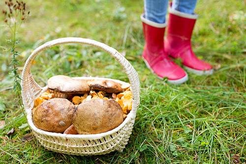 season, nature and leisure concept - basket of mushrooms and feet in rubber boots in forest