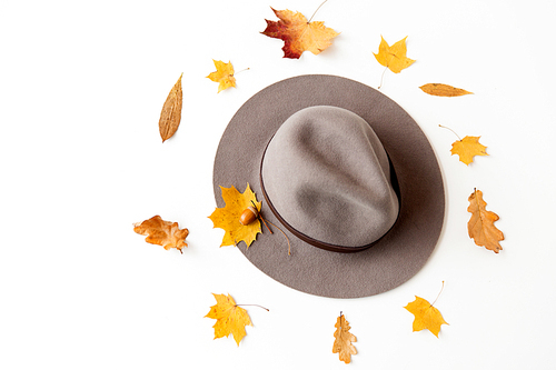 season, headwear and clothes concept - hat and fallen autumn leaves on white background