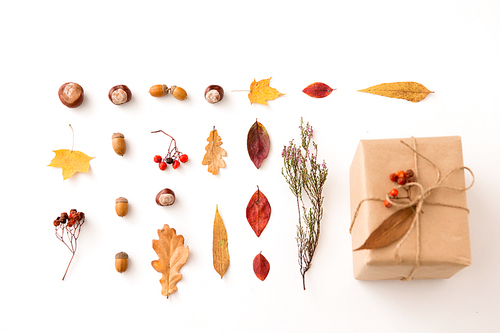 nature and season concept - gift box packed into postal wrapping paper, autumn leaves, chestnuts, acorns and rowanberries on white background