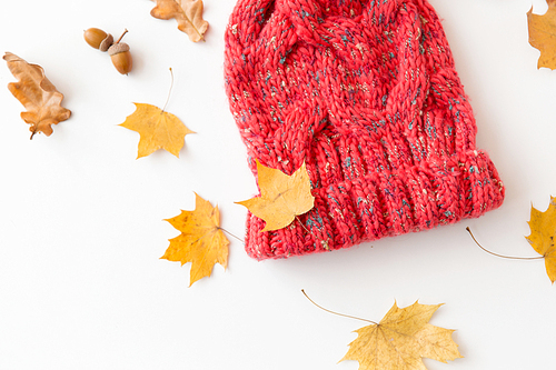 season, headwear and clothes concept - knitted woollen hat and fallen autumn leaves on white background