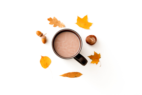 drinks, season and people concept - cup of hot chocolate, autumn leaves, acorns and chestnut on white background