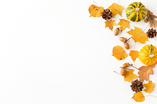 nature, season and botany concept - different dry fallen autumn leaves, acorns and pumpkins on white background