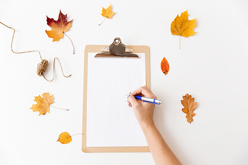 nature, season and botany concept - hand with pen and blank white paper on clipboard and autumn leaves
