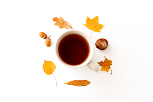 drinks, season and people concept - cup of 홍차, autumn leaves, acorns and chestnut on white background