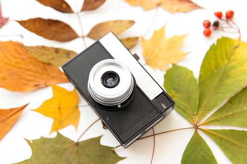 photography and season concept - film camera and autumn leaves on white background