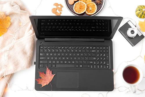 technology and season concept - laptop computer, cup of tea, film camera, autumn leaves and gingerbread cookies and sweater on white background