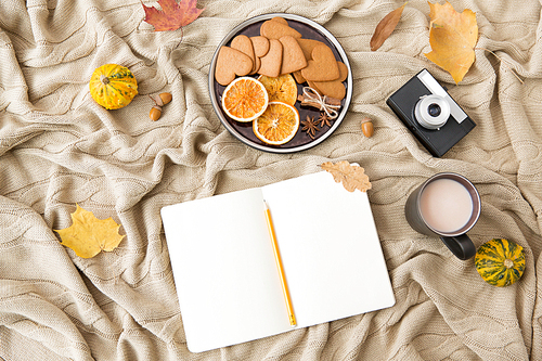 technology and season concept - notebook with pencil, autumn leaves, cup of hot chocolate, gingerbread cookies and film camera on warm knitted blanket