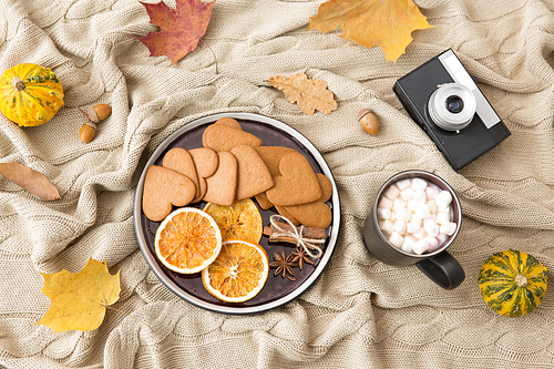 seasonal food and drinks season concept - gingerbread cookies with dried orange slices and cinnamon, autumn leaves, cup of hot chocolate drink, film camera and pumpkins on warm knitted blanket